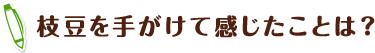 枝豆を手がけて感じたことは？