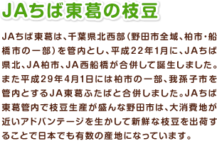 JAちば東葛の枝豆 JAちば東葛は、千葉県北西部（野田市全域、柏市・船橋市の一部）を管内とし、平成22年1月に、JAちば県北、JA柏市、JA西船橋が合併して誕生しました。また平成29年4月1日には柏市の一部、我孫子市を管内とするJA東葛ふたばと合併しました。JAちば東葛管内で枝豆生産が盛んな野田市は、大消費地が近いアドバンテージを生かして新鮮な枝豆を出荷することで日本でも有数の産地になっています。