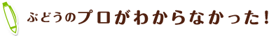 ぶどうのプロがわからなかった！