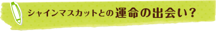 シャインマスカットとの運命の出会い？