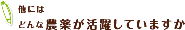 他にはどんな農薬が活躍していますか