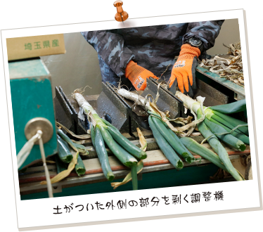 土がついた外側の部分を剥く調整機