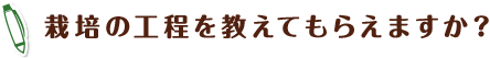 栽培の工程を教えてもらえますか？