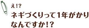 え!?ネギづくりって1年がかりなんですか！？