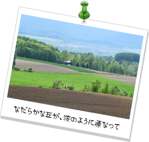 なだらかな丘が、波のように連なって