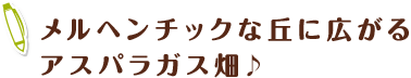 メルヘンチックな丘に広がるアスパラガス畑♪