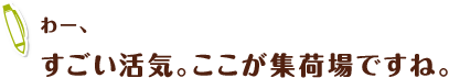 わー、すごい活気。ここが集荷場ですね。