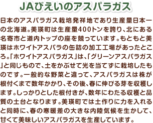 JAびえいのアスパラガス 日本のアスパラガス栽培発祥地であり生産量日本一の北海道。美瑛町は生産量400トンを誇り、北にある名寄市と道内トップの座を競っています。もともと美瑛はホワイトアスパラの缶詰の加工工場があったところ。「ホワイトアスパラガス」は、「グリーンアスパラガス」と同じもので、土をかぶせて光を当てずに栽培したものです。一般的な野菜と違って、アスパラガスは株が根付くまで数年かかり、その後、春に伸びる芽を収穫します。しっかりとした根付きが、数年にわたる収穫と品質の土台となります。美瑛町では土作りに力を入れると同時に、春の寒暖差の大きな内陸気候を生かして、甘くて美味しいアスパラガスを生産しています。