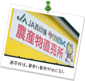 直売所は、黄色い看板がめじるし