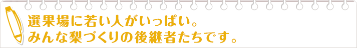 選果場に若い人がいっぱい。みんな梨づくりの後継者たちです。