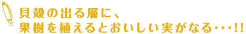 貝殻の出る層に、果樹を植えるとおいしい実がなる･･･!!