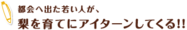 都会へ出た若い人が、梨を育てにアイターンしてくる!!