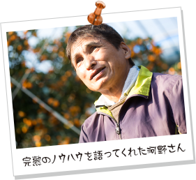 完熟のノウハウを語ってくれた河野さん