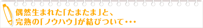 偶然生まれた「たまたま」と、完熟の「ノウハウ」が結びついて・・・