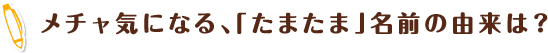 メチャ気になる、「たまたま」名前の由来は？