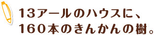 13アールのハウスに、160本のきんかんの樹。