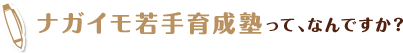 ナガイモ若手育成塾って、なんですか？ 