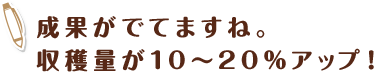 成果がでてますね。収穫量が10～20%アップ！