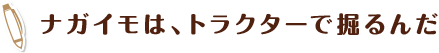 ナガイモは、トラクターで掘るんだ