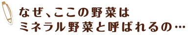 なぜ、ここの野菜はミネラル野菜と呼ばれるの…