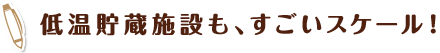 低温貯蔵施設も、すごいスケール！