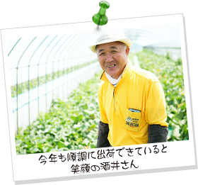 今年も順調に出荷できていると笑顔の酒井さん