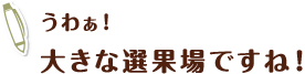 うわぁ！大きな選果場ですね！