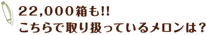 22,000箱も!!こちらで取り扱っているメロンは？