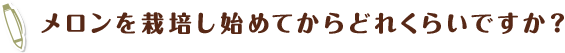 メロンを栽培し始めてからどれくらいですか？