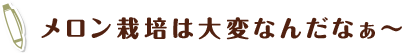 メロン栽培は大変なんだなぁ～