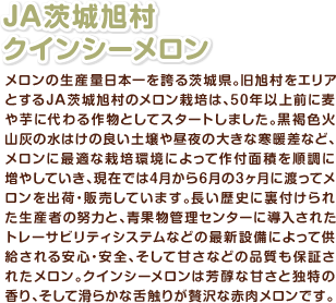 JA茨城旭村 クインシーメロン メロンの生産量日本一を誇る茨城県。旧旭村をエリアとするJA茨城旭村のメロン栽培は、50年以上前に麦や芋に代わる作物としてスタートしました。黒褐色火山灰の水はけの良い土壌や昼夜の大きな寒暖差など、メロンに最適な栽培環境によって作付面積を順調に増やしていき、現在では4月から6月の3ヶ月に渡ってメロンを出荷・販売しています。長い歴史に裏付けられた生産者の努力と、青果物管理センターに導入されたトレーサビリティシステムなどの最新設備によって供給される安心・安全、そして甘さなどの品質も保証されたメロン。クインシーメロンは芳醇な甘さと独特の香り、そして滑らかな舌触りが贅沢な赤肉メロンです。