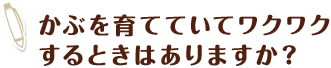 かぶを育てていてワクワクするときはありますか？