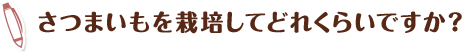 さつまいもを栽培してどれくらいですか？