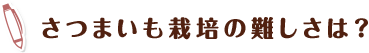 さつまいも栽培の難しさは？