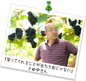 「実ってくれることが当たり前じゃない」と田中さん