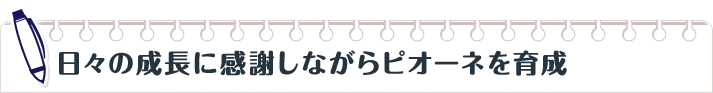 日々の成長に感謝しながらピオーネを育成