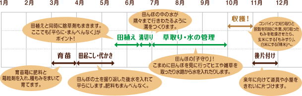 五十嵐さん一家の栽培スケジュール