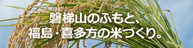 磐梯山のふもと、福島・喜多方の米づくり。