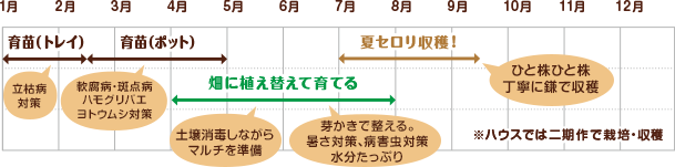 永田さんの栽培スケジュール　※ハウスでは二期作で栽培・収穫