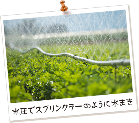 水圧でスプリンクラーのように水まき