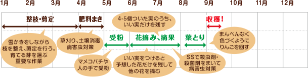 中畑さんの栽培スケジュール（サンつがるの場合）