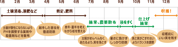 伏見さんの栽培スケジュール（青島温州の場合）