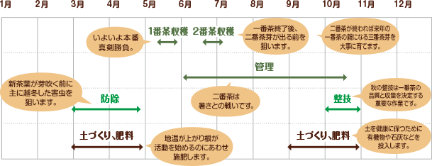 勝亦さんの栽培スケジュール