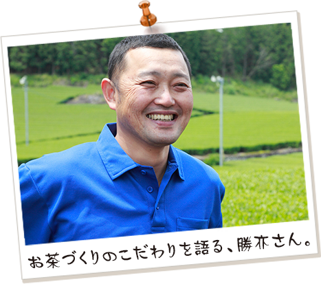 お茶づくりのこだわりを語る、勝亦さん。