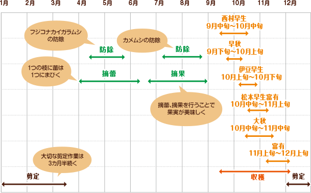 右田さんの栽培スケジュール 