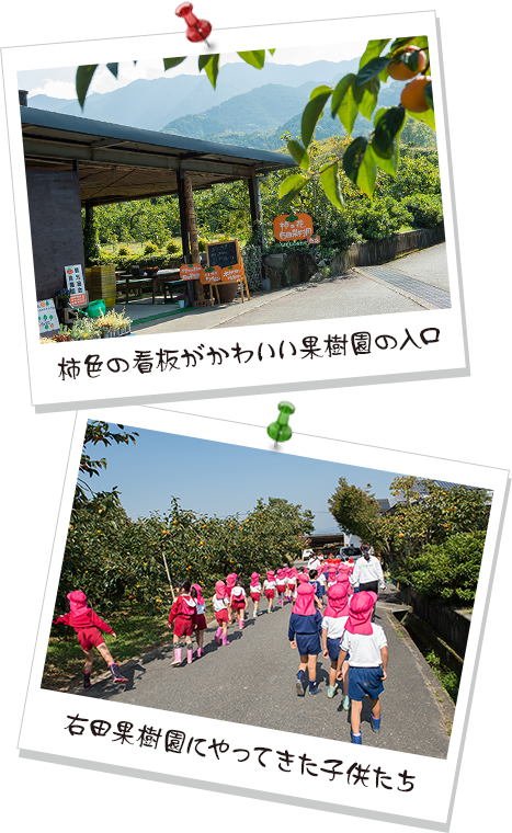 柿色の看板がかわいい果樹園の入口 右田果樹園にやってきた子供たち