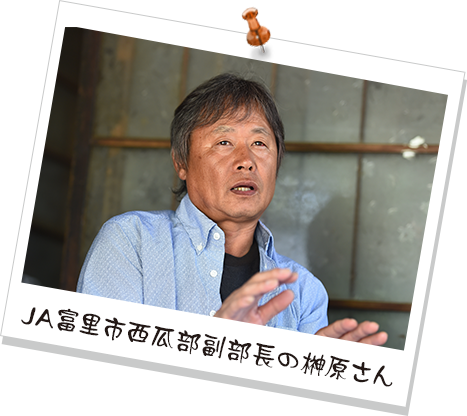 JA富里市西瓜部副部長の榊原さん