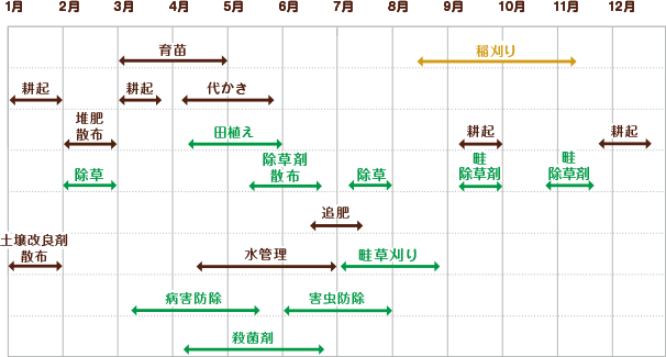 米　栽培スケジュール 