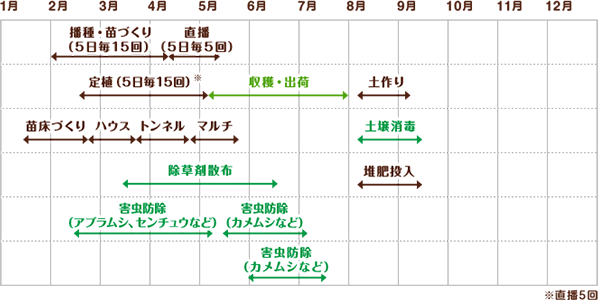 枝豆　栽培スケジュール 