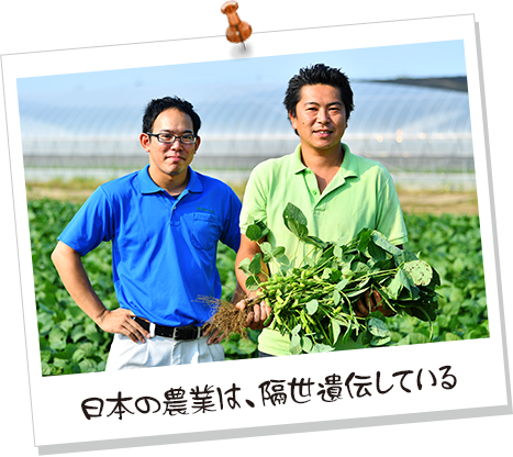 日本の農業は、隔世遺伝している